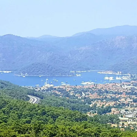 Villa Grande Olive 1/2