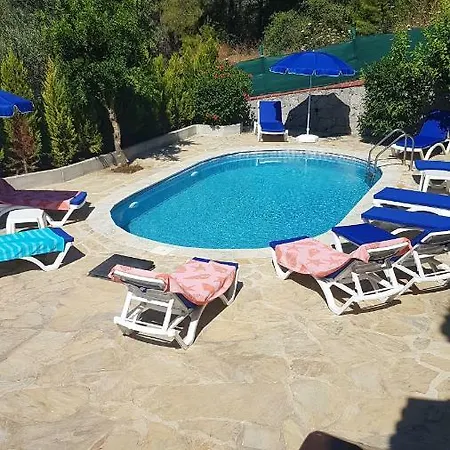 Villa Grande Olive 1/2 *