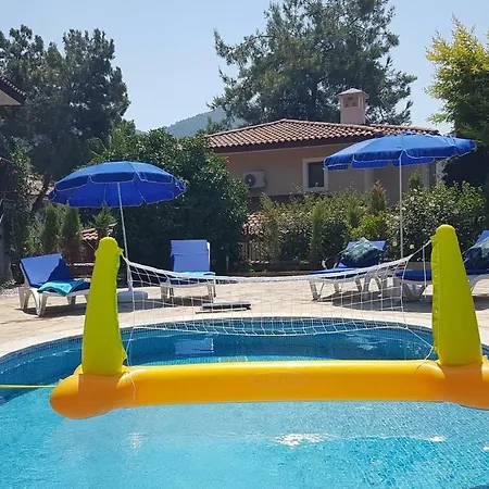 Grande Olive 1/2 Villa